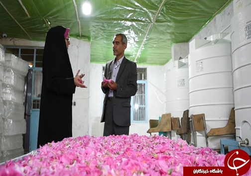 سفر به منطقه گل و گلاب مازندران&nbsp;