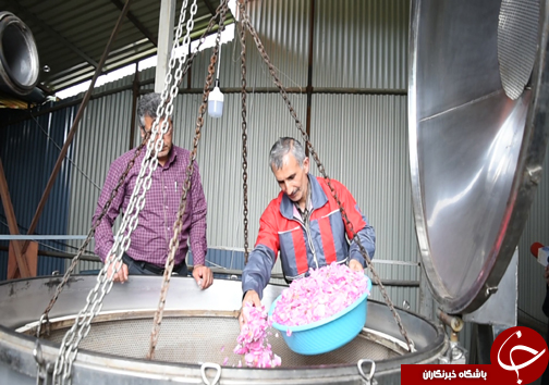 سفر به منطقه گل و گلاب مازندران&nbsp;