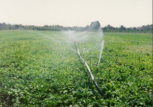 استمرار گشت حفاظتی از اراضی کشاورزی در استان سمنان