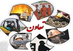 رشد تعاونی&zwnj;های قم نسبت به استان&zwnj;های دیگر مطلوب نیست
