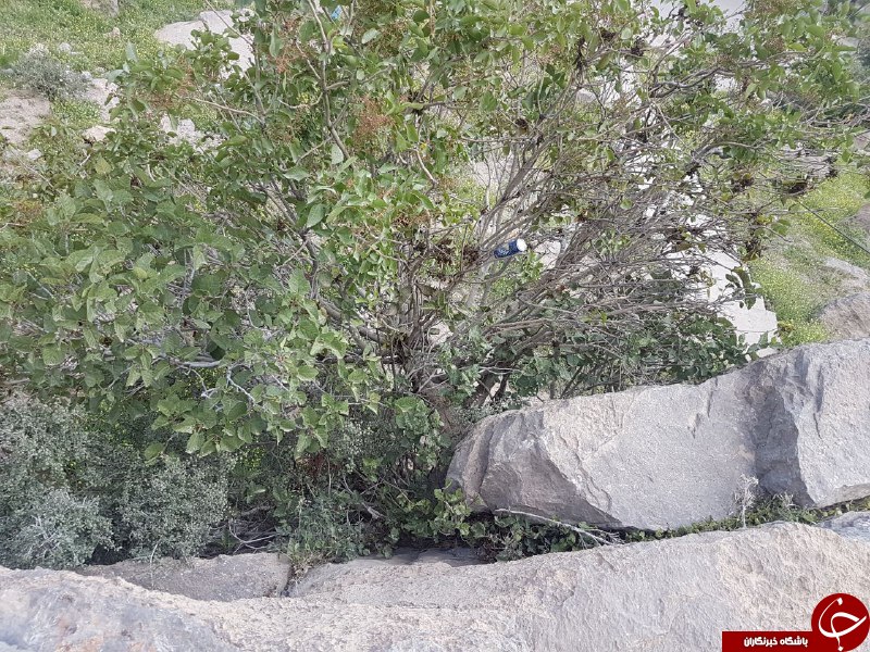 مناظری زیبا و جذاب چشمه برم در لردگان + تصاویر