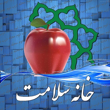 بررسی راهکارهای ارتقای سطح بهداشت و سلامت درایلام