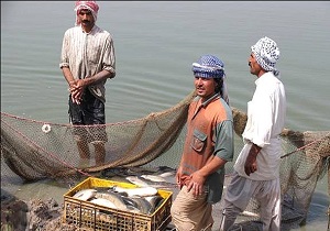 فعالیت ۳۲ تعاونی صیادی در چابهار و کنارک