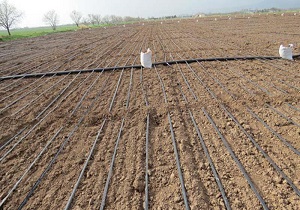 اجرای طرح آبیاری کم فشار در زمین های پایین دست قنات نیکشهر