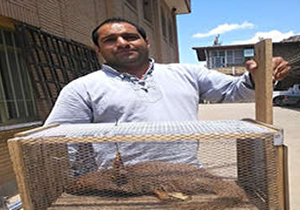 تحویل خدنگ به محیط زیست لرستان توسط شهروند خرم آبادی