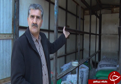 کاهش سطح کشت توتون در گلستان و چالش&zwnj;های آن برای کشاورزان / آیا حمایت از محصول داخلی شامل توتون کاران نمی&zwnj;شود؟