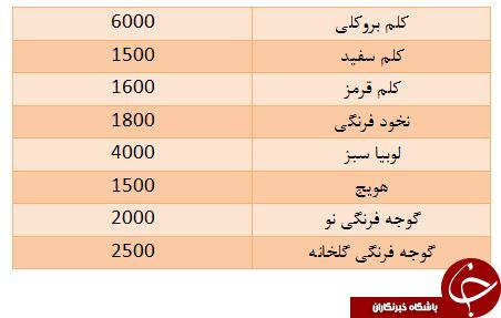 نرخ انواع میوه و سبزیجات در میادین تره بار اعلام شد+ جدول