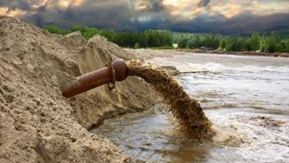 شغل عجیب خود یک ایرانی؛ تولید اسکناس از کود انسانی!
