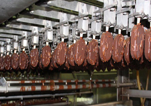 نخستین کارخانه بستنی سازی چهارمحال و بختیاری آماده بهره برداری