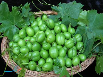 فواید و ضررهای 