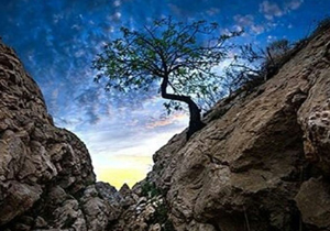 درخشش عکاس فارسی در مسابقات ایراسو