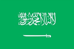 شاهزادگان عربستان، پادشاهی بن سلمان را نمی&zwnj;پذیرند