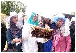 ایجاد ۳۳ صندوق اعتبارات خرد زنان روستایی در استان قزوین