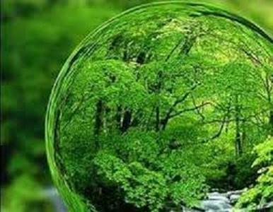 کاهش ۳ درصدی سطح کانون های بحرانی آلوده به آفات
