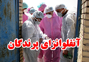 هشدار دامپزشکی فارس در خصوص بیماری آنفلوآنزای فوق حاد پرندگان