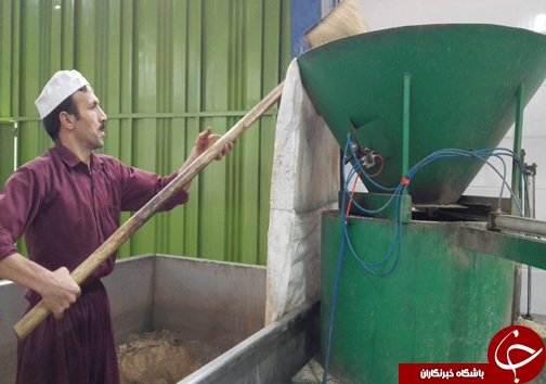 تولید ۱۵ محصول از فراوردههای کنجدی/کارآفرینانی که دستگاههای این کارخانه را خود اختراع کرده اند+تصـاویر تولید ۱۵ محصول از فراوردههای کنجدی/کارآفرینانی که دستگاههای این کارخانه را خود اختراع کرده اند+تصـاویر