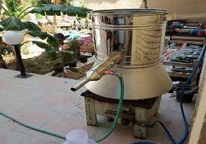 عملیات عرق گیری طارونه از نخل ها انجام شد