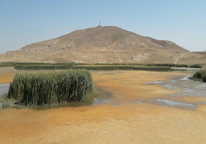 بهشت پرندگان در معرض آلودگی