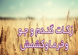 دهیاران می توانندمبلغان توانمندی در  جمع آوری زکات باشند