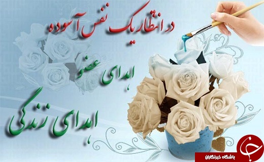 رتبه دوم اهدای عضو استان یزد درکشور به نسبت جمعیت