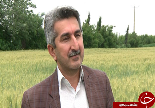 بر باد رفتن منابع طبیعی با به آتش کشیدن بقایا گیاهی / کاه و کلش را آتش نزنید!