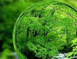 الکترونیکی شدن سامانه استعلام اراضی منابع طبیعی در زنجان