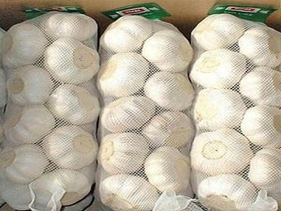 طارم  از قطب های بزرگ  تولید سیر در ایران/  سیر طارم در مسیر جهانی شدن
