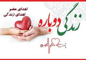 ۶ مورد مرگ مغزی درسال ۹۷ و یک مورد اهدای عضو درقم