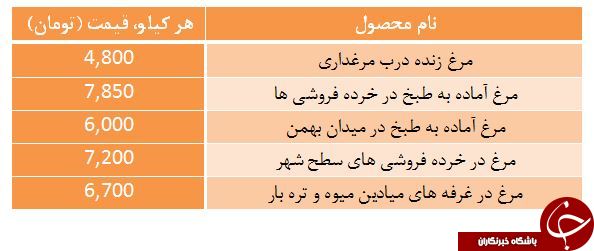 آخرین تحولات بازار مرغ/ نرخ مرغ کاهش یافت