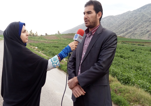 پلدختر قطب تولید سبزی در لرستان / استفاده ظرفیت تولید سبزیجات پلدختر با فراروری و بسته بندی آن&zwnj;ها + تصـاویر