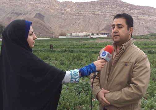 پلدختر قطب تولید سبزی در لرستان / استفاده ظرفیت تولید سبزیجات پلدختر با فراروری و بسته بندی آن&zwnj;ها + تصـاویر