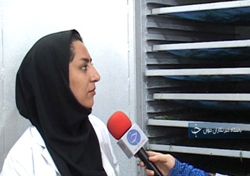 پلدختر قطب تولید سبزی در لرستان / استفاده ظرفیت تولید سبزیجات پلدختر با فراروری و بسته بندی آن&zwnj;ها + تصـاویر