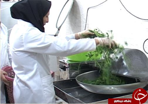 پلدختر قطب تولید سبزی در لرستان / استفاده ظرفیت تولید سبزیجات پلدختر با فراروری و بسته بندی آن&zwnj;ها + تصـاویر