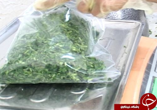 پلدختر قطب تولید سبزی در لرستان / استفاده ظرفیت تولید سبزیجات پلدختر با فراروری و بسته بندی آن&zwnj;ها + تصـاویر