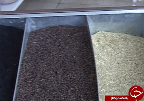 پلدختر قطب تولید سبزی در لرستان / استفاده ظرفیت تولید سبزیجات پلدختر با فراروری و بسته بندی آن&zwnj;ها + تصـاویر