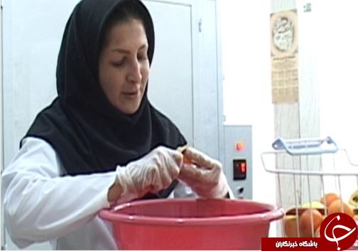 پلدختر قطب تولید سبزی در لرستان / استفاده ظرفیت تولید سبزیجات پلدختر با فراروری و بسته بندی آن&zwnj;ها + تصـاویر