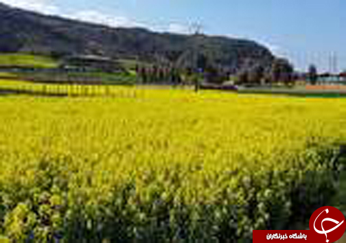 نگاهی گذرا به مهمترین رویداد&zwnj;های دوشنبه ۳ اردبیهشت ماه در مازندران