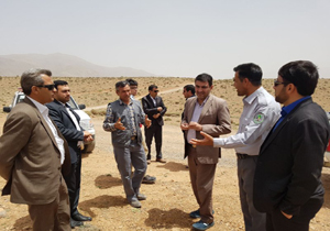 محکومیت مسببان آتش سوزی جنگل‌ها به ۳ تا ۱۰ سال حبس