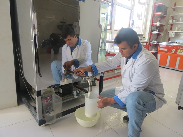 شیر سنتی، همان شیرهای برگشتی کارخانه است/شهروندان از خرید لبنیات سنتی و بدون شناسنامه خودداری کنند