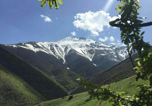 نگاهی به طبیعت زیبای گیلانغرب + تصاویر