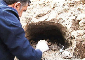 تناقض در احتمالات گور دسته جمعی در روستای قطرم بافق