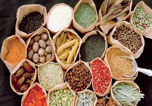 گیاهان دارویی، ثروت پنهان استان کویری یزد