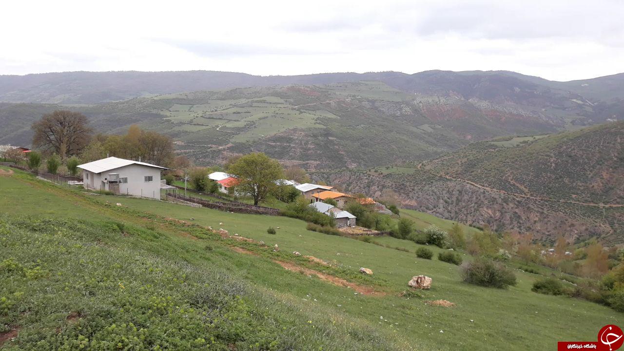 چشم&zwnj;اندازی از طبیعت جذاب و سرسبز در درمزار + تصاویر