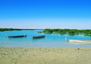 اجرای طرح "جزیره سبز، روستای پاک" در قشم
