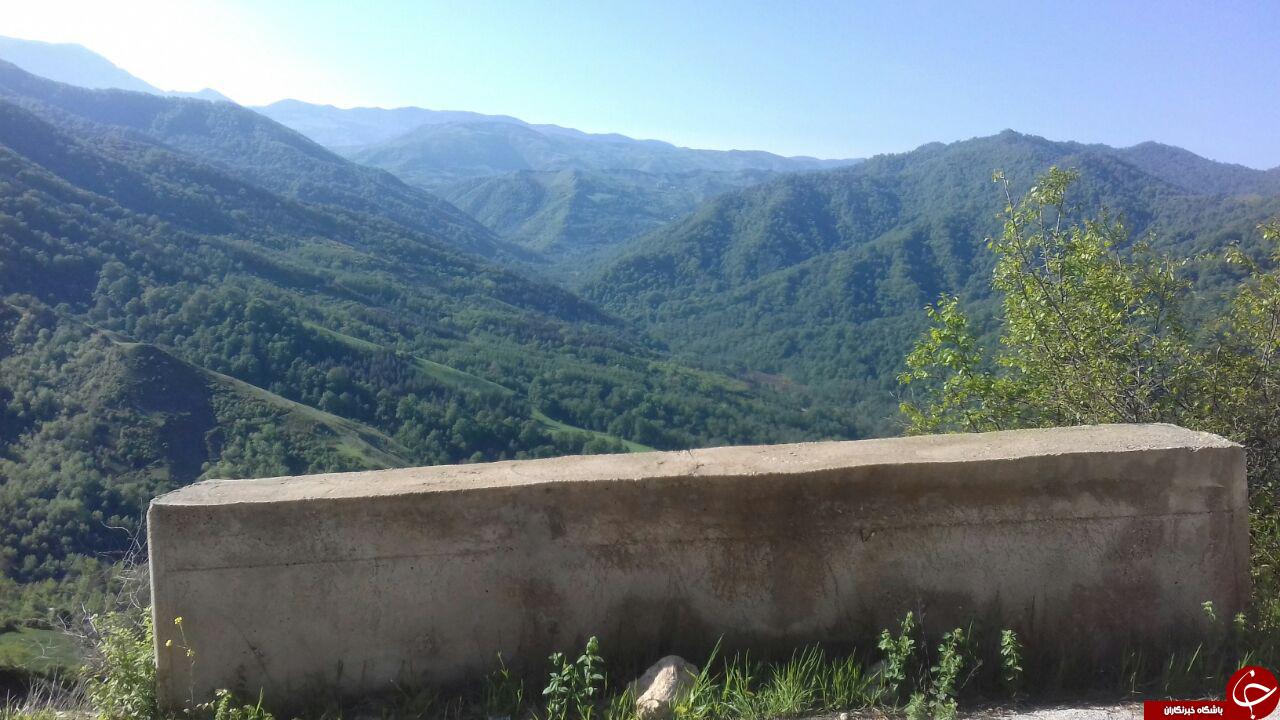 نمایی از طبیعت بهاری در زنگلاب + تصاویر