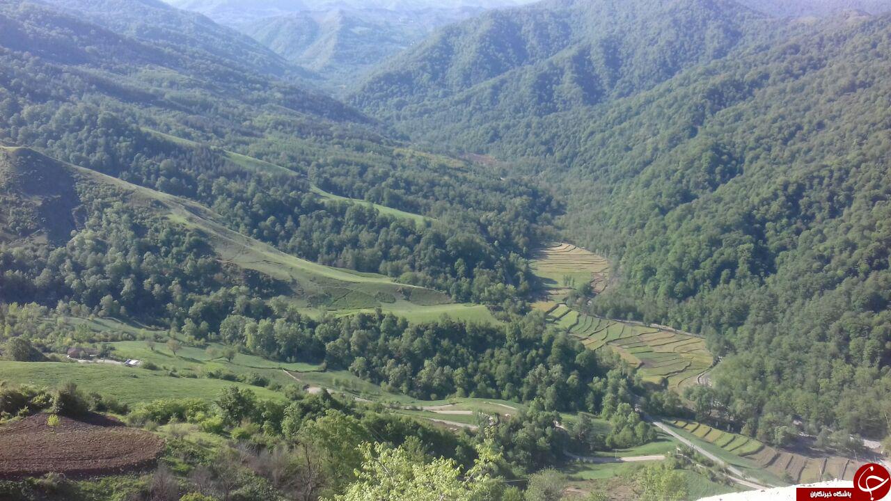 نمایی از طبیعت بهاری در زنگلاب + تصاویر