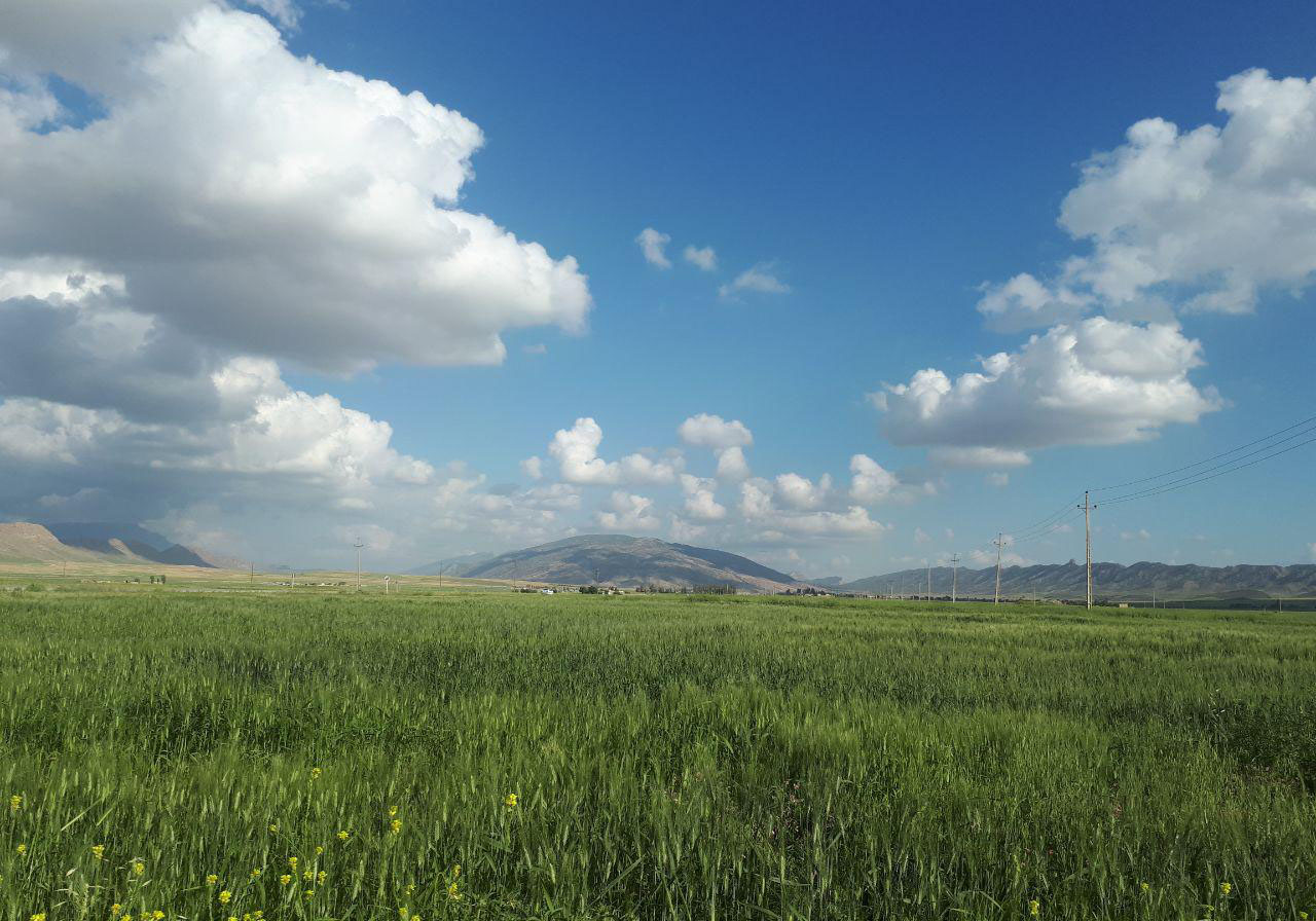 چشم‌اندازی از طبیعت بهاری در گیلانغرب + تصاویر