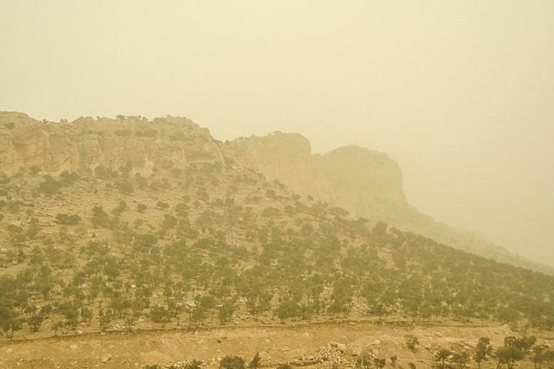 ۲۱ درصد استان ایلام  بیابان و منشا گردوغبار است