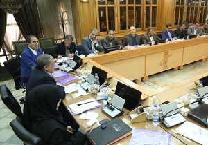 عدم آموزش  شوراها در مدیریت مالی مشکل آفرین است