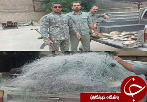 متخلفان صید ماهی در فصل ممنوعه با دستان بسته